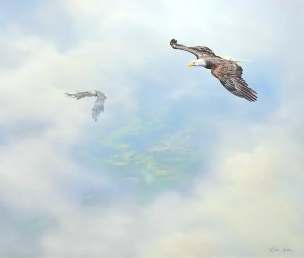 Eagles in Flight – 200 x 170 cm Art Gallery