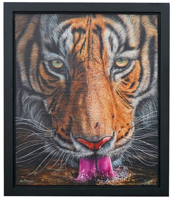 Tiger drinking water – 50 X 60 cm Art Gallery