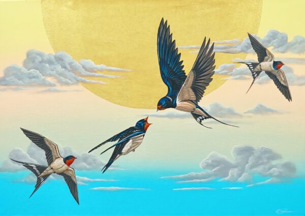 Swallow in the sky – 70 X 50 cm Art Gallery