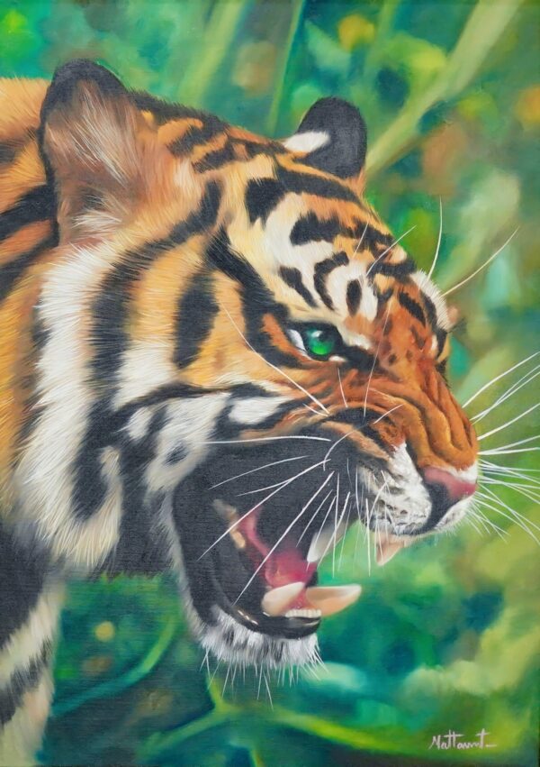 The Rage of the Tiger II – 50 x 70 cm Art Gallery