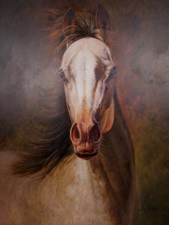 Horse – 100 x 130 cm Art Gallery 4