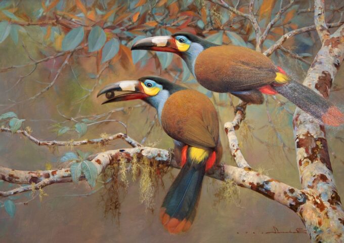 2 birds – 60 x 90 cm Art Gallery 4